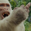 King_Kong