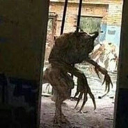 Marlboro de 100
