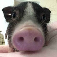 大狙装粪狙谁谁笨