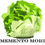 iceberglettuce101