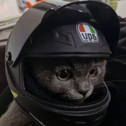 你的温柔给了他