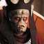 Nute HUNG-ray