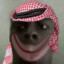 Donksey