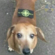 ебал софт <3