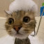 PIRSON__