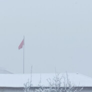 Meitounao所以不高兴