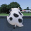 Peanut-