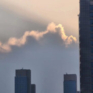 汉堡王海绵宝宝