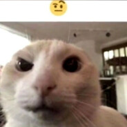 Lemon The Partygoer!