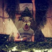 noah