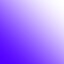 S1C299