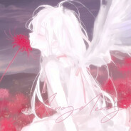 c0pa- - steam id 76561199556834599