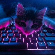 W4LTH3R avatar
