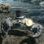 Philosopher Mudcrab