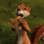 squirrel
