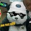 DankPanda