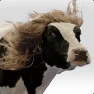 THE COW