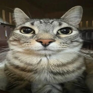 mozolika's avatar