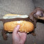 hot dog