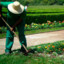 JARDINEIRO PLANTADOR DE BOMBA