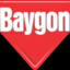 Baygon