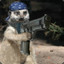 Meerkat Warrior