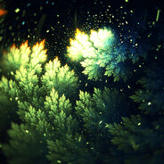 补偿昨天今天和明天