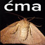 ćma