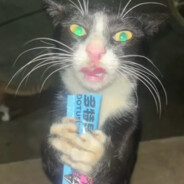 tweak out! - steam id 76561199163872936