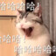 kaikai