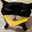 IcyInvader avatar