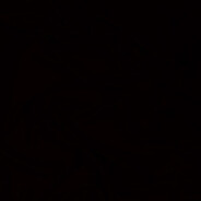 drinker and the driver