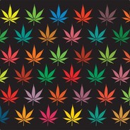 Indika|Silver CSGOFAST.COM