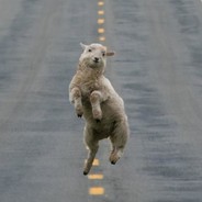 董雪龙真不是我