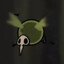 stinky bug