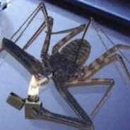 Гжегож Бженчищик