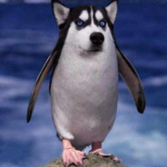 你醒了，刚才我一梭子打了17点伤害给你气晕了