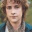 Peregrin Took