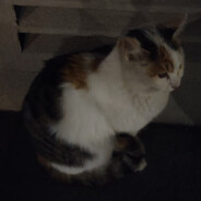 你拿什么感同身受