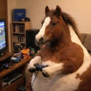 Player avatar