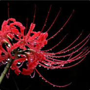 橘笙南木途归谜