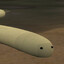 snAIDS patient #0