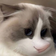 我不知道我叫什么