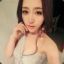 一条菜狗
