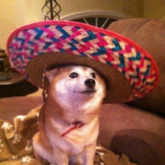 Paco el Macho - steam id 76561198370921738