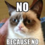 Grumpycat_NO