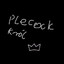 PL3C4KCASE.GIFT