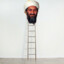 Osama bin ladder