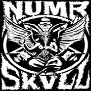 numbskull - steam id 76561197992654599