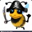 bumble bee pirate